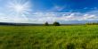 Beautiful summer landscape. The nature. Panorama
