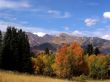 Fall Colors