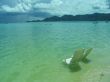 Holiday