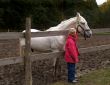 Horse and child