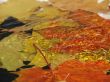 Drops fall on leaves in water