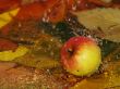 Drops fall on apple and leaves in water