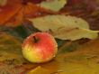 Drops fall on apple and leaves in water