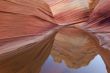Rain Pool Coyote Buttes