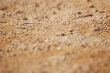 sand macro-backround
