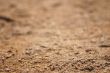 sand macro-backround