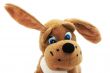 Hello, I am a large ear.