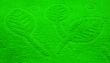 Green background.