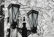 Snow - a lantern - an icicle.