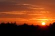 sunset sky over the forest