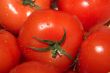 red tomatoes