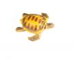 shell turtle