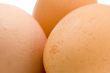 egg close up