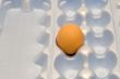egg in box