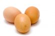 Egg on white