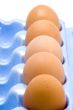 packing egg