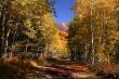 Mountain Road