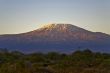 Kilimanjaro Morning