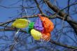 Balloons