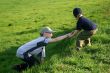 Mutual assistance