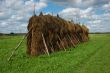 Hayrick in the field