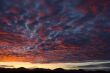 Arizona Sunset