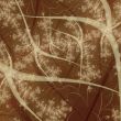 an abstract wallpaper