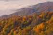 Autumn Great Smoky Mountains