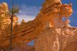 Rock Wall Bryce Canyon
