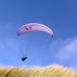 Purple paraglider