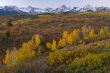 Autumn Colorado Divide