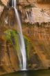 Calf Creek Falls