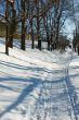 Winter day at Suzdal, Russia