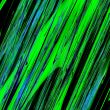 an abstract wallpaper