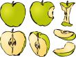 Apple illustration