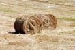Fall Hay Bale