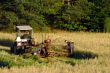 cutting hay