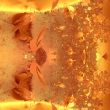 an abstract wallpaper