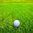 Golfball on fairway