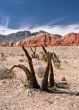 Red Rock Canyon