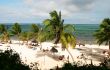 tropical beach