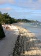 Africa,Kenia,Mombasa, Indian Ocean, east coast