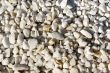 White gravel.