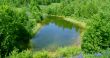 Wood lake.