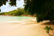 romantic sand beach in Indian Ocean (Seychelles)