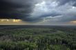 Clouds over forest.