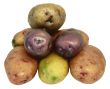 Color potato.
