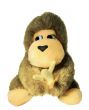 The monkey and a banana.