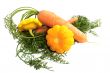 Carrots and Bush pumpkins.