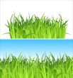 two grass backgrounds / vector